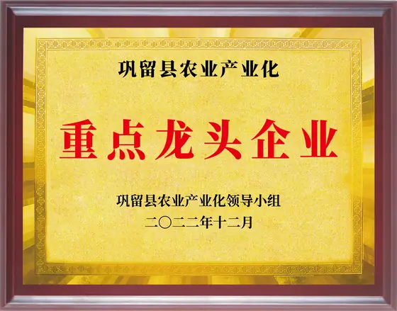 巩留县农业产业化重点龙头企业